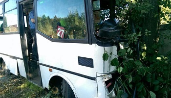 Маршрутный автобус врезался в дерево.
